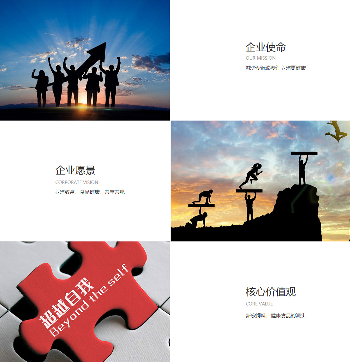 华体会hth(图1)